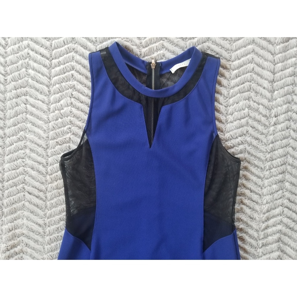 LUSH Mini Dress - Picture 3 of 6